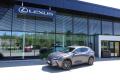 Lexus NX 350h NX350h Executive 4x4