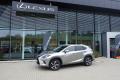 Lexus NX 300h LUXURY