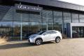 Lexus NX 300h 300h 4WD Premium
