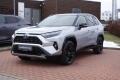 Toyota RAV4 2.5HSD Selection 4x4 SkyWiev