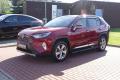 Toyota RAV4 HSD Executive 4x4, Tan
