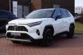 Toyota RAV4 2.5HSD Selection 4x4