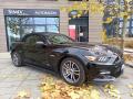 Ford Mustang GT Premium Cabrio 5.0l V8