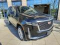 Cadillac Escalade Platinum 600,no�n� vid�n�,AKG