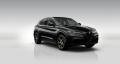 Alfa Romeo Stelvio 2.0 Turbo 280k Q4 AT8 INTENSA