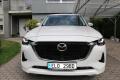 N�hled 2