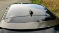 N�hled 27