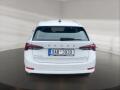 N�hled 7