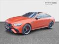 Mercedes-Benz AMG GT 3.0 GT 53 AMG 4Matic+