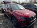 Hyundai Tucson 1.6-110KW,SMART,AUTOMAT,ZRUKA