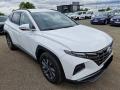 Hyundai Tucson 1.6T-GDI 110 Smart MAN