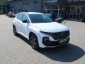 Hyundai Tucson 1.6 T-GDI N-LINE NAVI ZRUKA