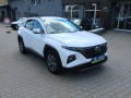 Hyundai Tucson 1.6T-GDI 110 Smart NAVI ZRUKA