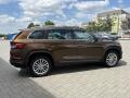N�hled 6
