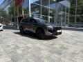 Nissan X-Trail E-Power, e-4ORCE, N-Trek