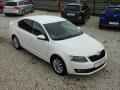 �koda Octavia III 1.6 TDI 81kW 4x4