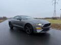 Ford Mustang 2.3 EcoBoost Manu�l 08/2021 