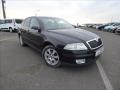 koda Octavia 1.9 TDI, Digi Klima, serviska