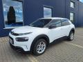 Citron C4 Cactus 1.2 PT 110k EAT6