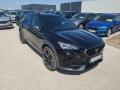 Cupra Formentor 1.5 TSi/110kW - DSG,Navi,LED,.