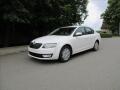 �koda Octavia 1.6 TDi 77Kw, Eleg. DSG, Motor