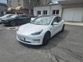 Tesla Model 3 PERFORMANCE 377kw