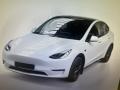 Tesla Model Y LONG RANGE DUAL MOTOR 378kw