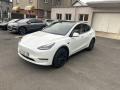 Tesla Model Y LONG RANGE DUAL MOTOR 378kw