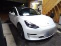 Tesla Model 3 LONG RANGE DUAL MOTOR 366kw 