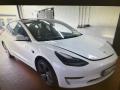 Tesla Model 3 LONG RANGE DUAL MOTOR 366kw