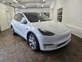 Tesla Model Y LONG RANGE DUAL MOTOR 378kw TZ