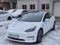 Tesla Model 3 LONG RANGE DM TZ SOH 95%
