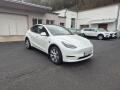 Tesla Model Y LONG RANGE DUAL MOTOR SOH 95% 