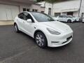 Tesla Model Y LONGE RANGE DUAL MOTOR TZ 92%