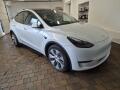 Tesla Model Y LONG RANGE DUAL MOTOR TZ 93%
