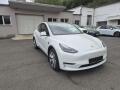 Tesla Model Y LONG RANGE DUAL MOTOR  93.1%