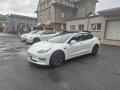 Tesla Model 3 STANDART RANGE 239w SOH 95.0%
