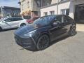 Tesla Model Y PERFORMANCE 393kw 21ALU TZ