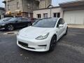 Tesla Model 3 STANDART RANGE 208w SOH 96.0%