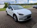Tesla Model Y LONG RANGE DUAL MOTOR TZ 93%