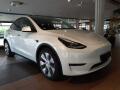 Tesla Model Y LONG RANGE DUAL MOTOR TZ 93.7%
