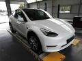 Tesla Model Y LONG RANGE DUAL MOTOR TZ 94.1%