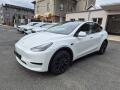 Tesla Model Y RWD 220kw TZ SOH 93.1 %