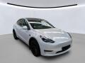 Tesla Model Y RWD 220kw TZ SOH 93.1 %