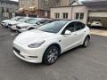 Tesla Model Y LONG RANGE DUAL MOTO 92.7%