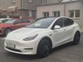 Tesla Model Y PERFORMANCE 393kw TZ 91.3%