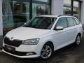 koda Fabia 1.0 TSi,70kW,1majR,serv.k,DPH