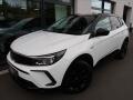 Opel Grandland 1.2 Turbo,96kW,1maj�R,ser.kn.