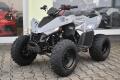 Linhai ATV 110 2X4 EFI CE 