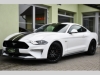 Ford Mustang 5.0 V8 Ti-VCT GT ZRUKA R